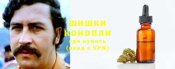 твердый Осинники