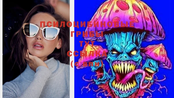 дживик Остров