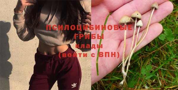 твердый Осинники