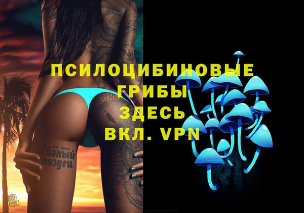 твердый Осинники