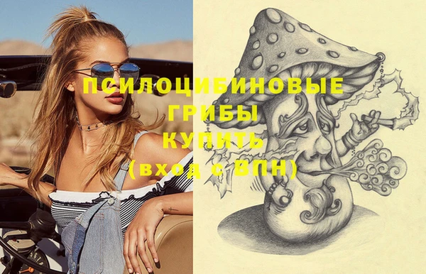 твердый Осинники